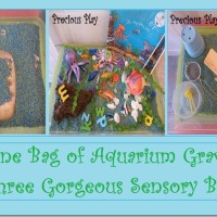 One Bag of Aquarium Gravel; Three Gorgeous Sensory Bins